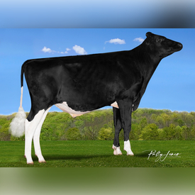 Ducket%20hendrick%20et%20 %20site